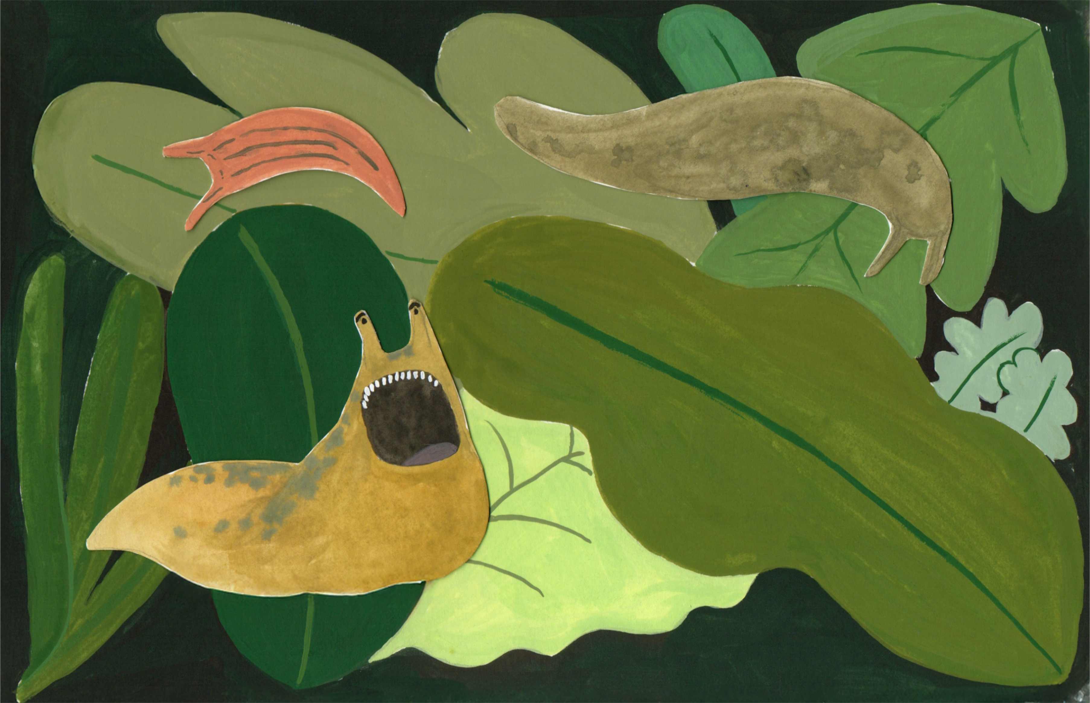 Jungle scene with slug and sloth