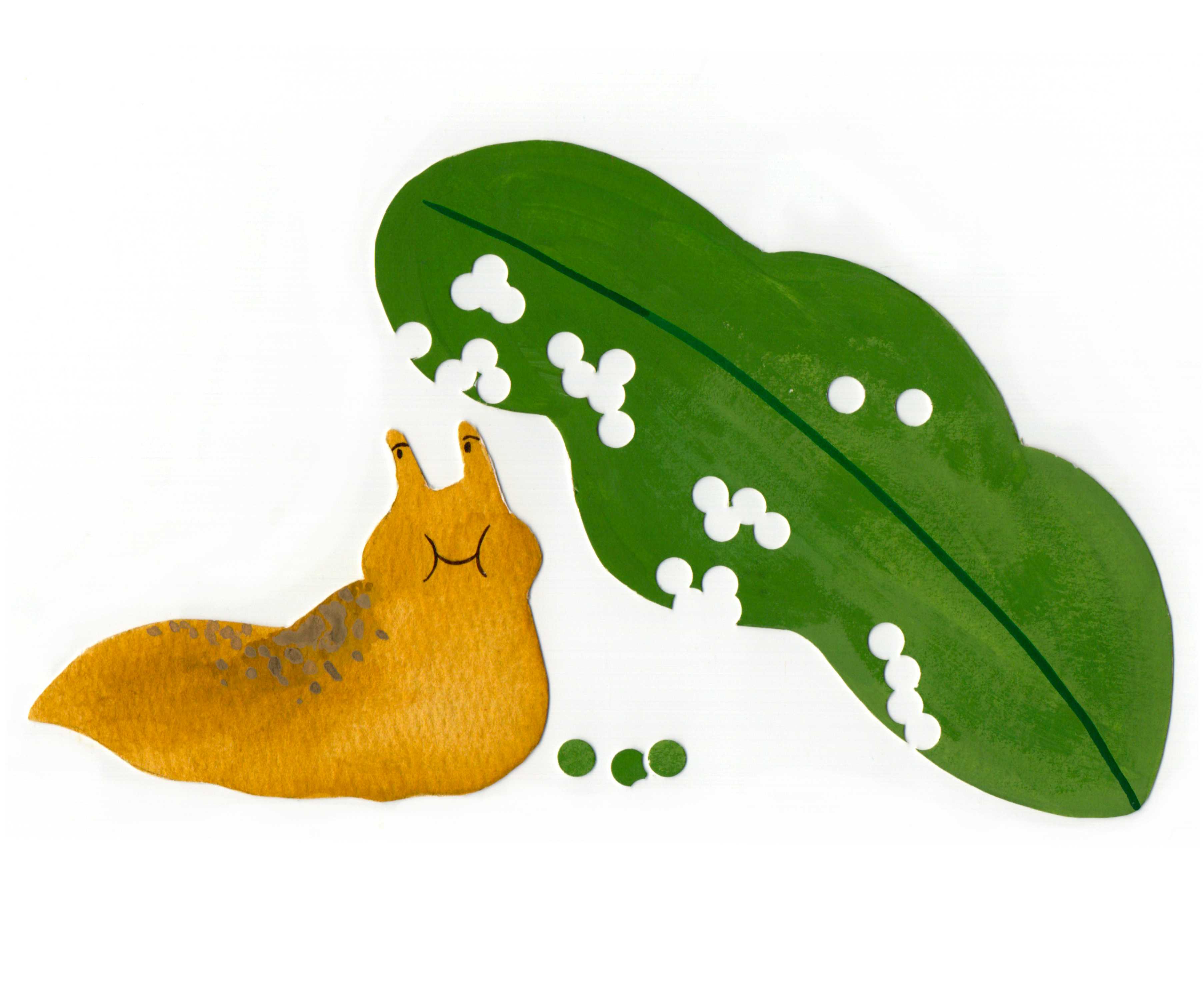 Golden slug with decorative leaf