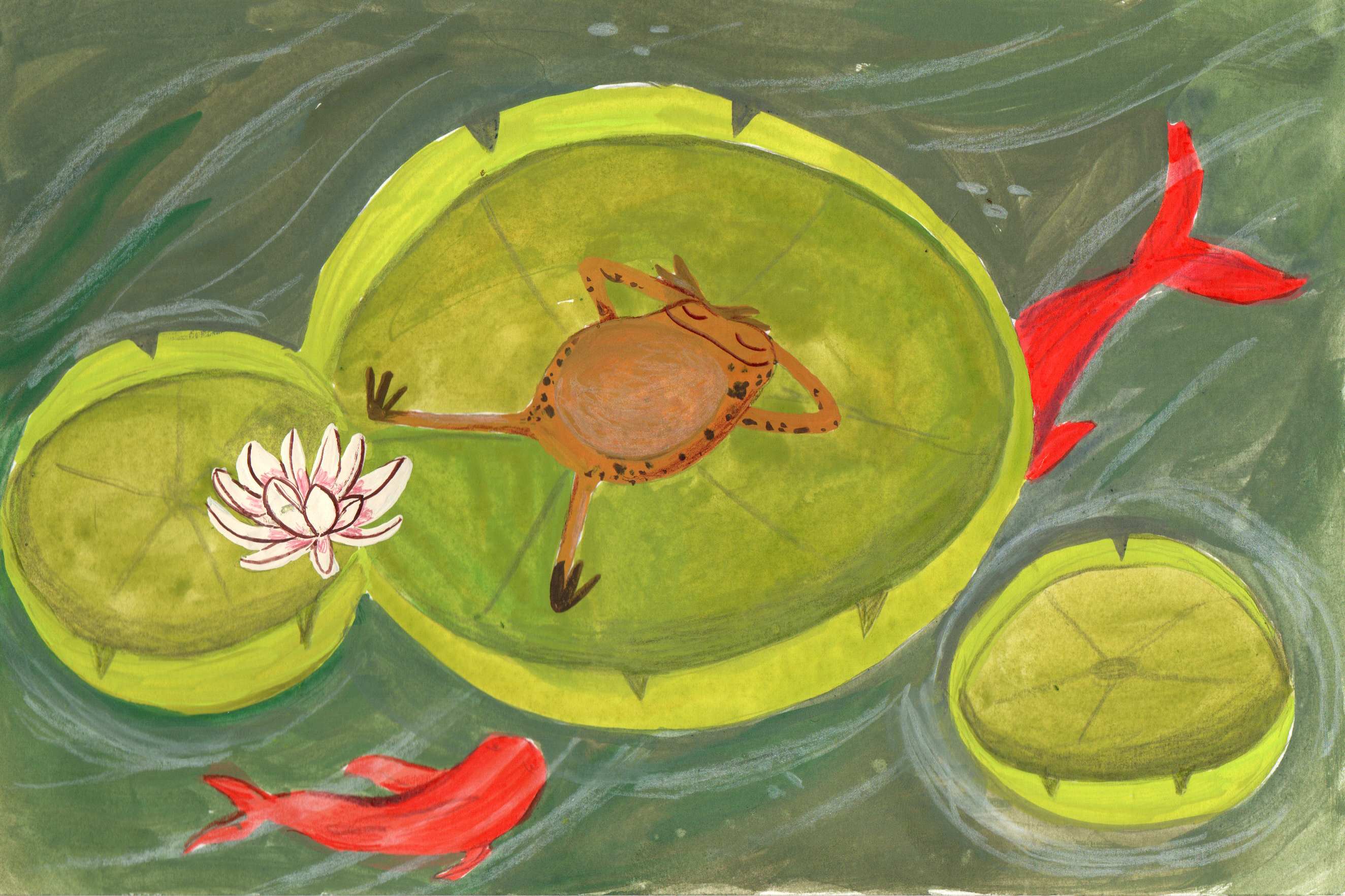 Toad relaxing on lily pad with goldfish